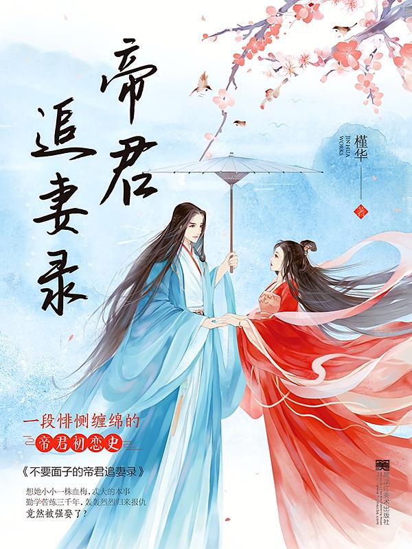 帝君追妻录