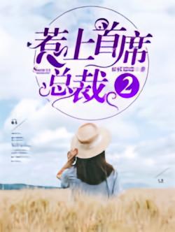 惹上首席总裁2