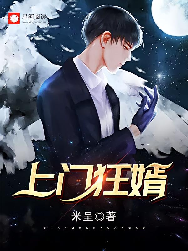 上门狂婿