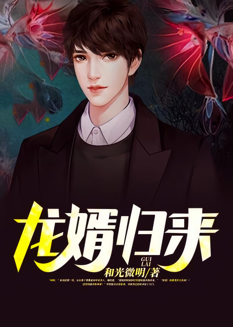 龙婿归来