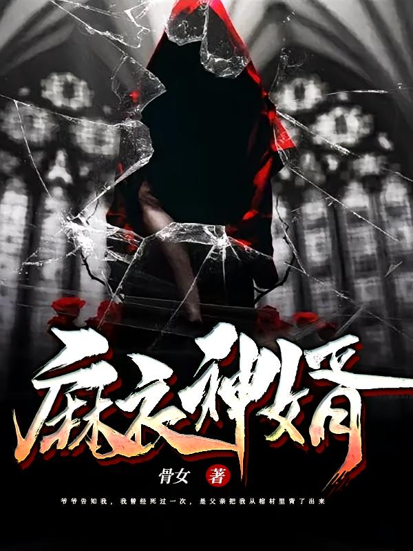 麻衣神婿