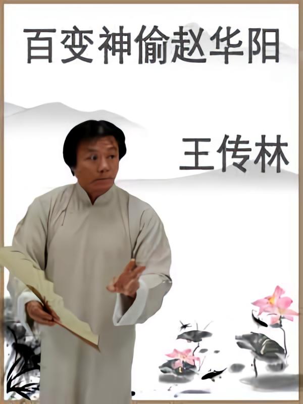 百变神偷赵华阳