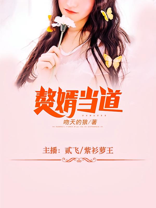 赘婿当道