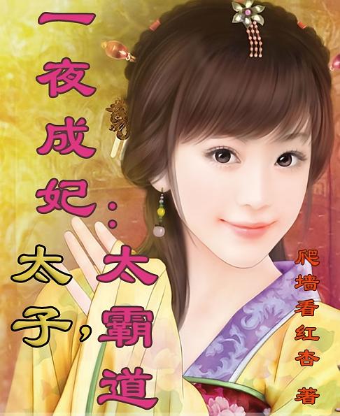 一夜成妃：太子，太霸道