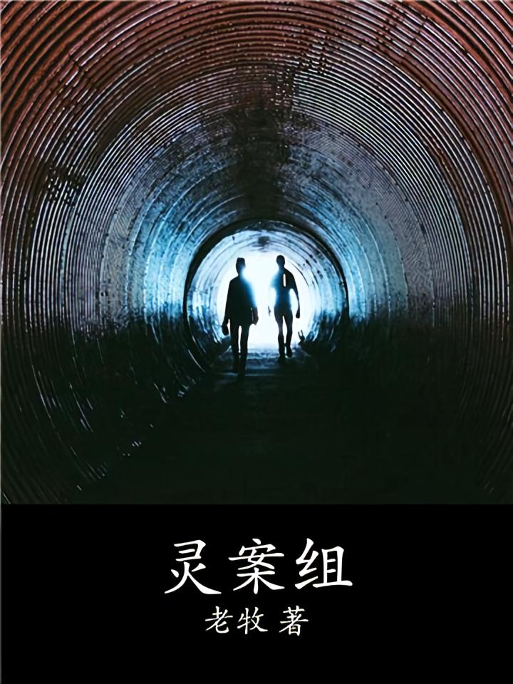 灵案组