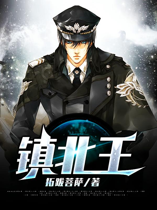 镇北王