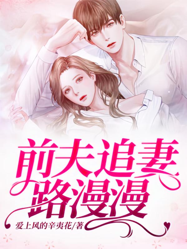前夫追妻路漫漫