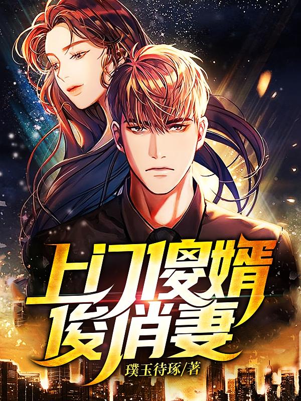 上门傻婿俊俏妻