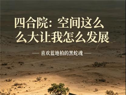 四合院：空间这么大让我怎么发展