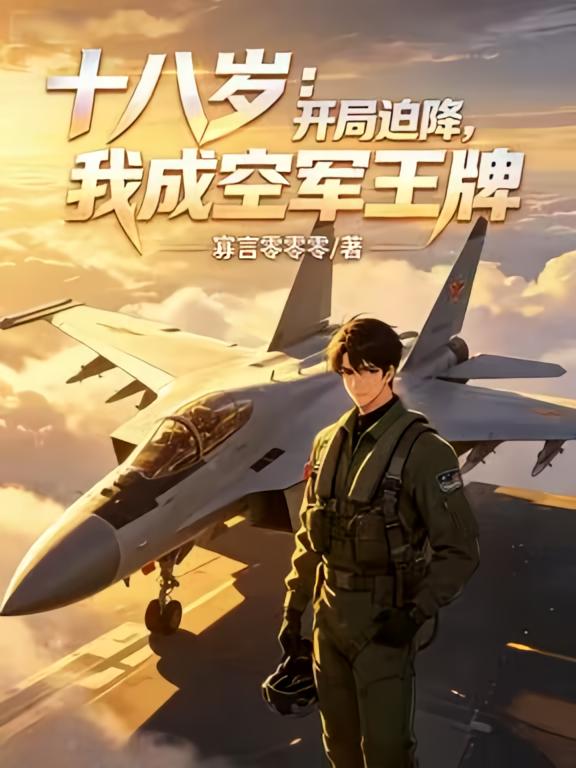十八岁：开局迫降，我成空军王牌