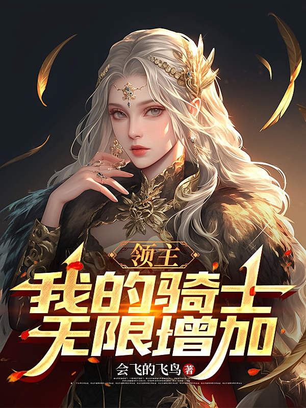 领主：我的骑士无限增加