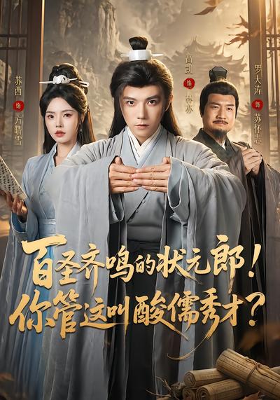 百圣齐鸣的状元郎！你管这叫酸儒秀才？ - 在线观看