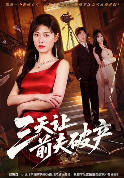 三天让前夫破产