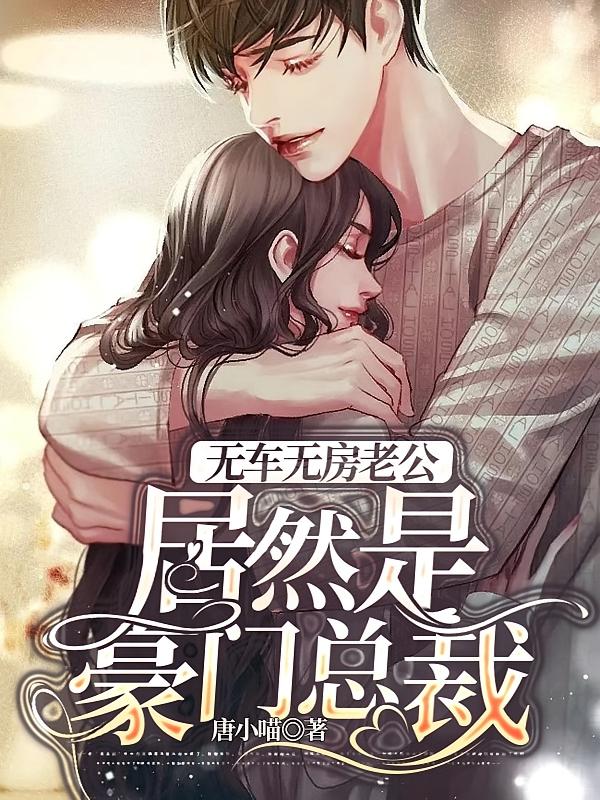 无车无房老公，居然是豪门总裁
