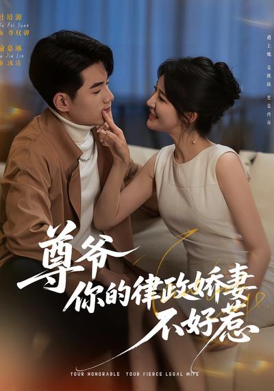 尊爷，你的律政娇妻不好惹
