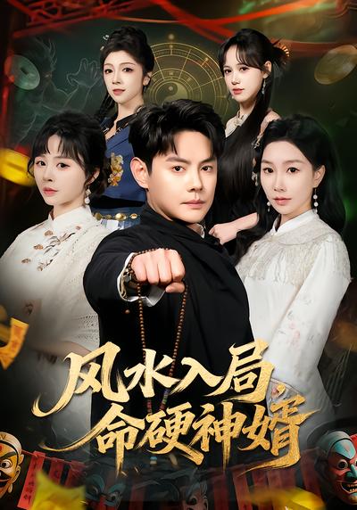 风水入局，命硬神婿 - 在线观看