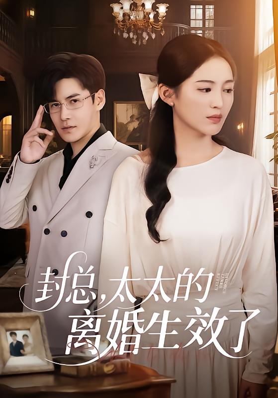 图：封总，太太的离婚生效了[引子]