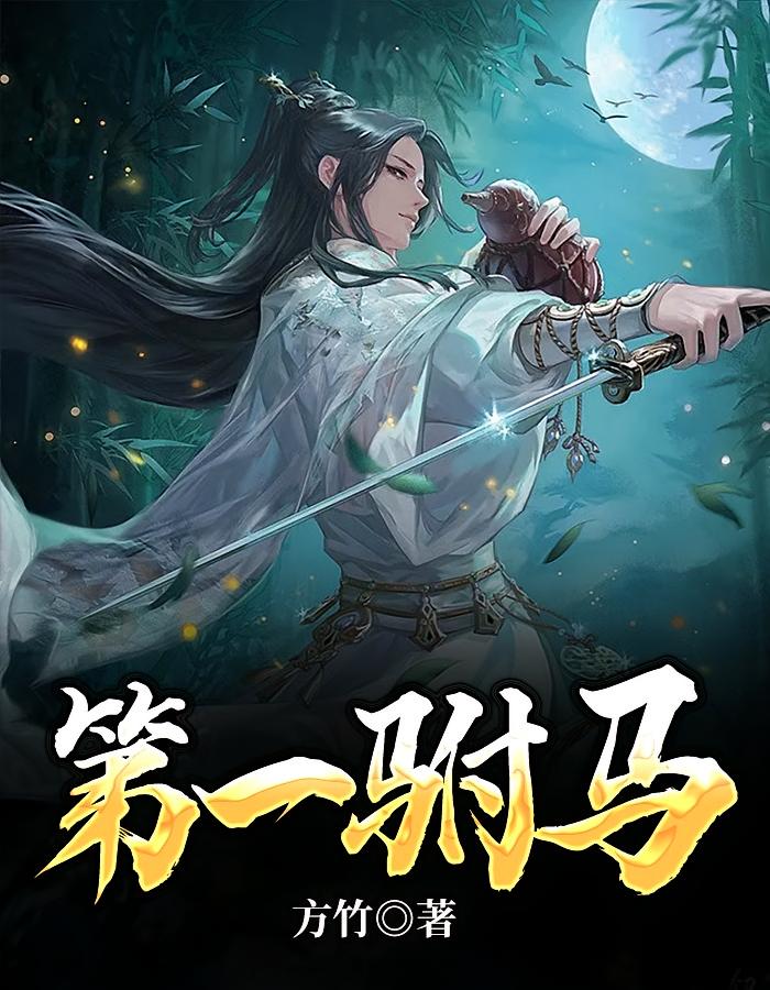 第一驸马