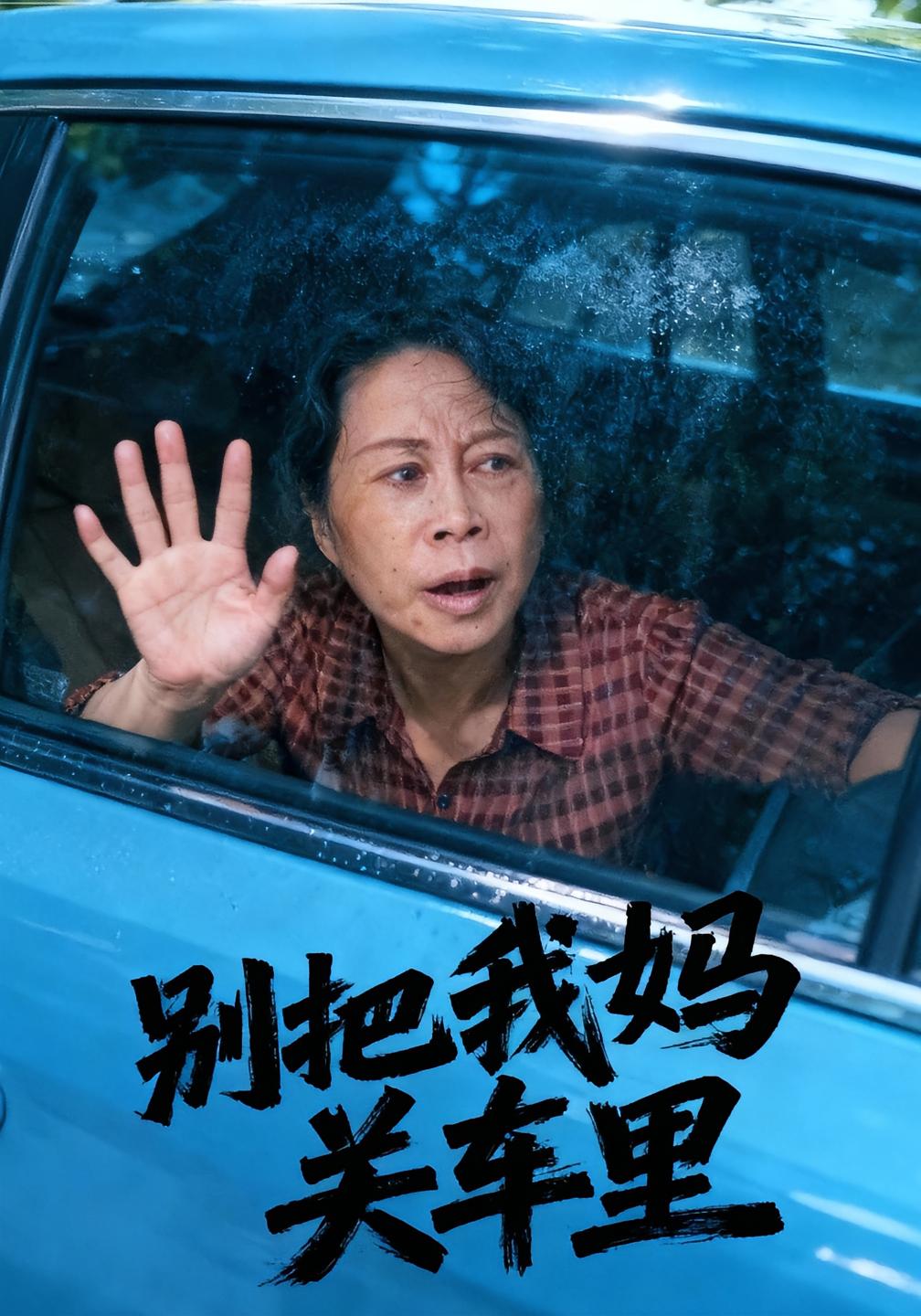 别把我妈关车里