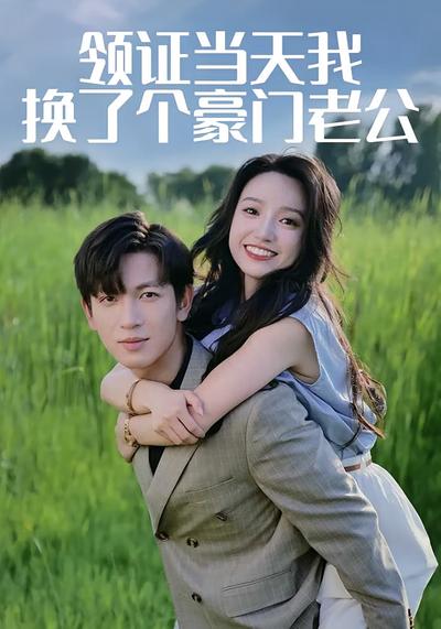 领证当天我换了个豪门老公