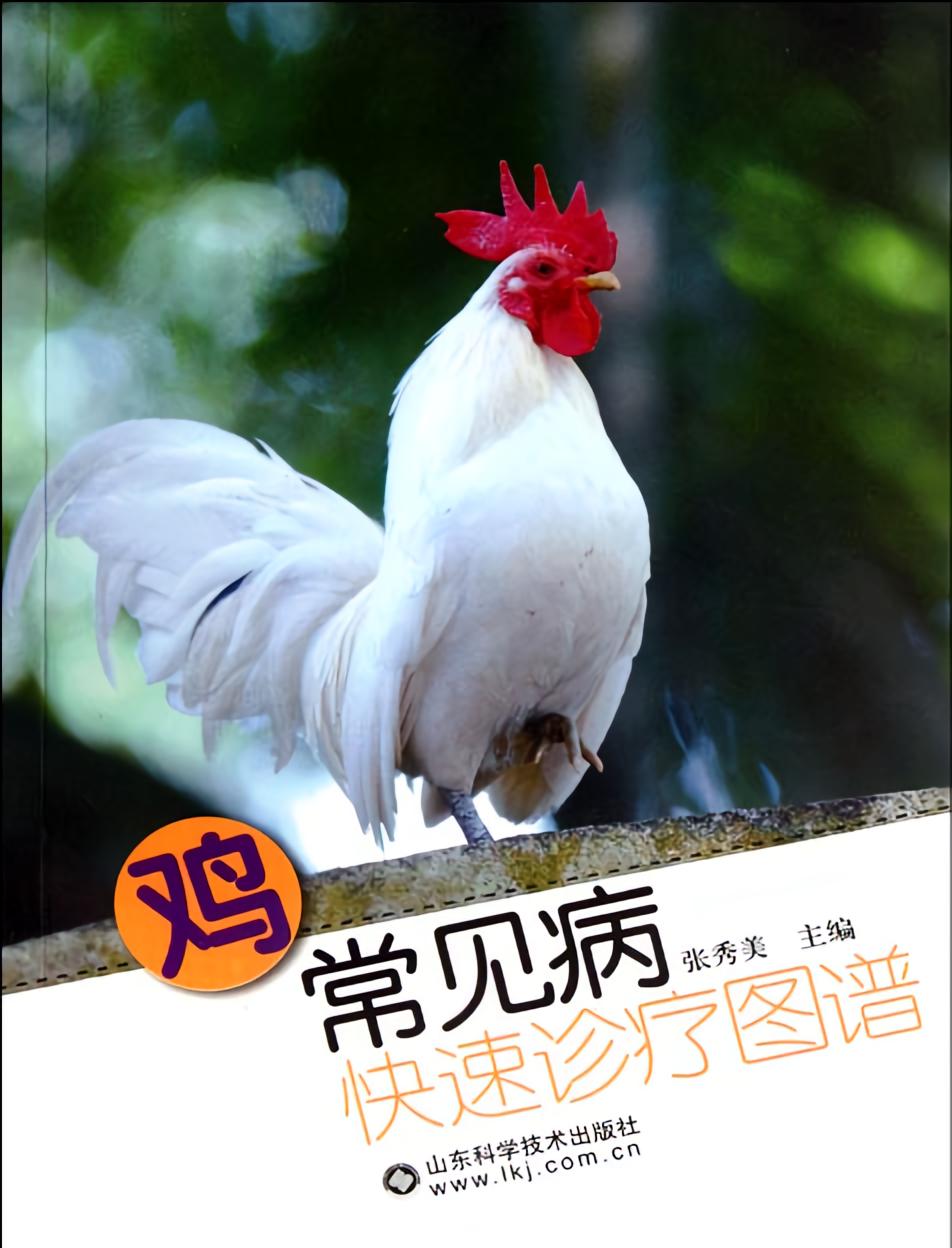 鸡常见病快速诊疗图谱