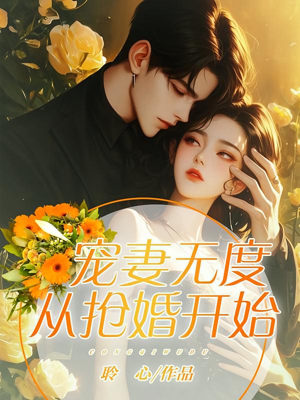 宠妻无度从抢婚开始