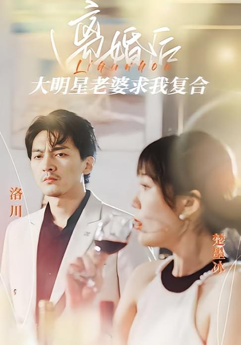 离婚后，大明星老婆求我复合