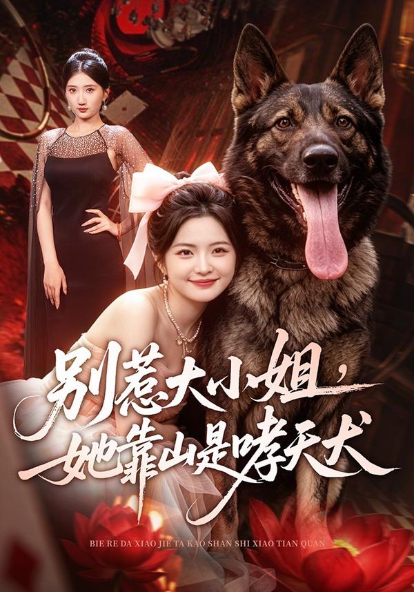 短剧《别惹大小姐，她靠山是哮天犬》海报