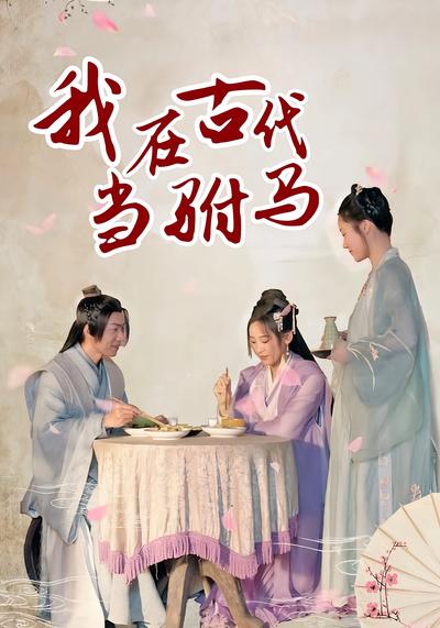 我在古代当驸马