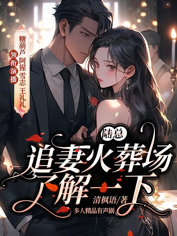 陆总，追妻火葬场了解一下