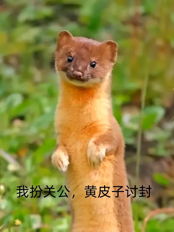 我扮关公，黄皮子讨封