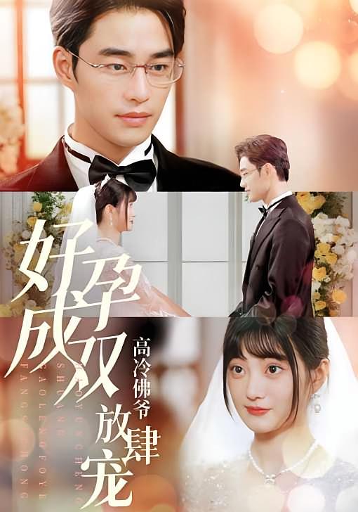 好孕成双高冷佛爷放肆宠
