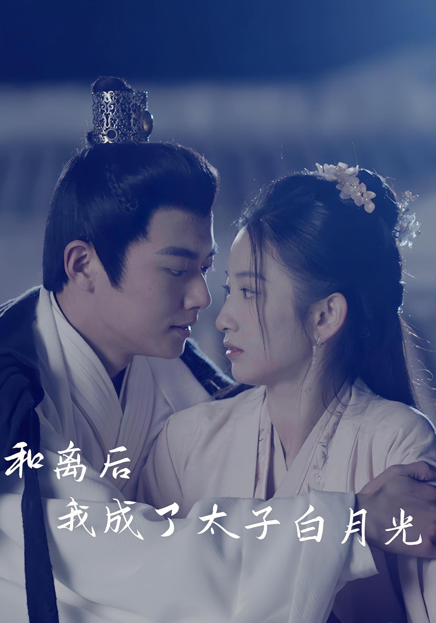 和离后我成了太子白月光
