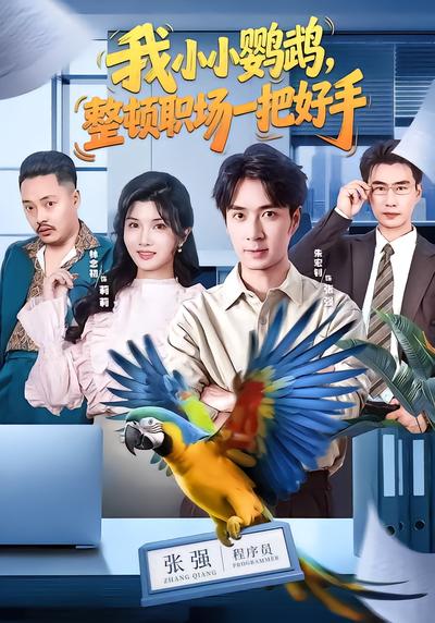 我小小鹦鹉，整顿职场一把好手 - 在线观看