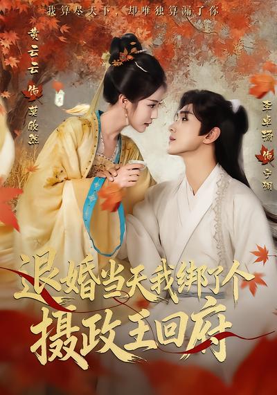 退婚当天我绑了个摄政王回府 - 在线观看