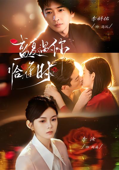 盛夏遇你恰逢时 - 在线观看