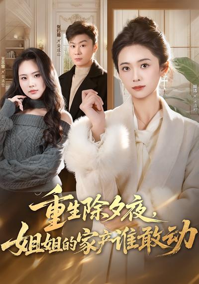重生除夕夜，姐姐的家产谁敢动 - 在线观看