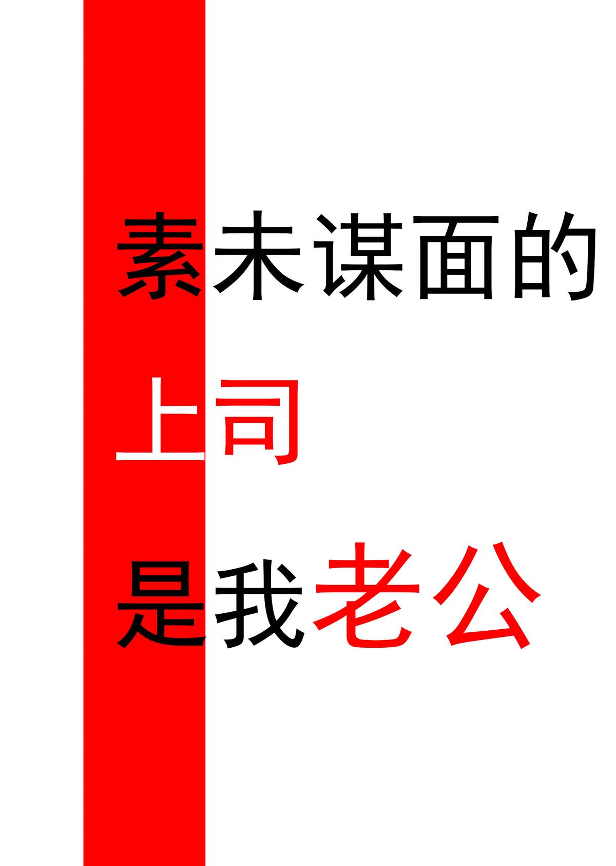 素未谋面的上司是我老公