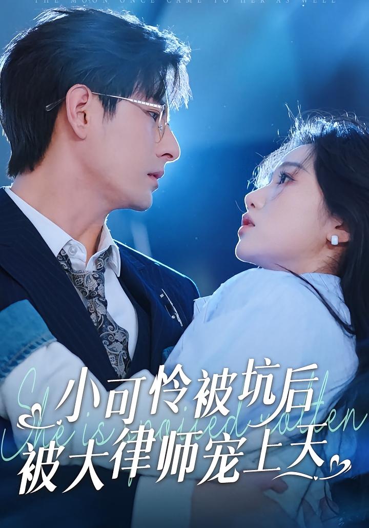 小可怜被坑后被大律师宠上天