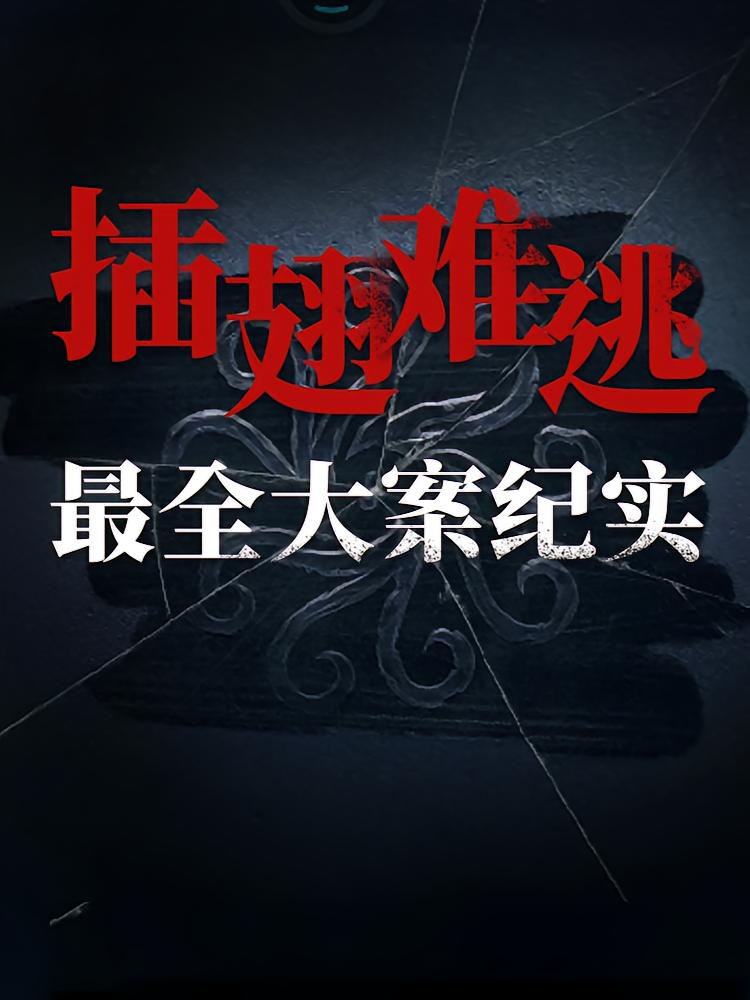 插翅难逃丨最全大案纪实