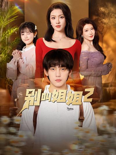 别叫姐姐2封面