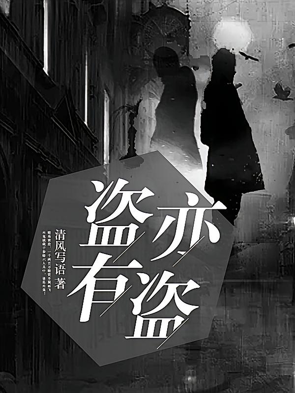 盗亦有盗