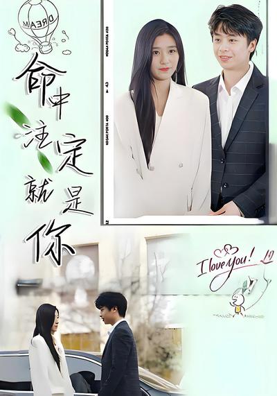 命中注定就是你