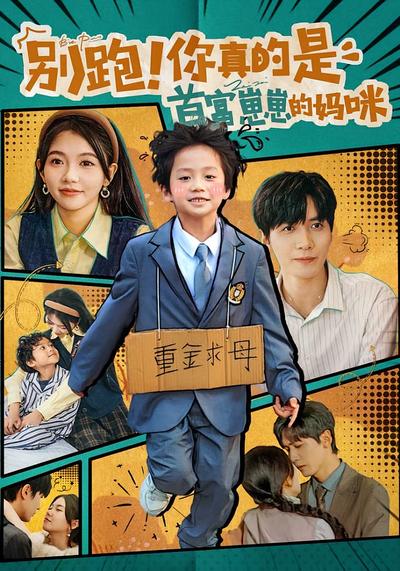 别跑！你真的是首富崽崽的妈咪