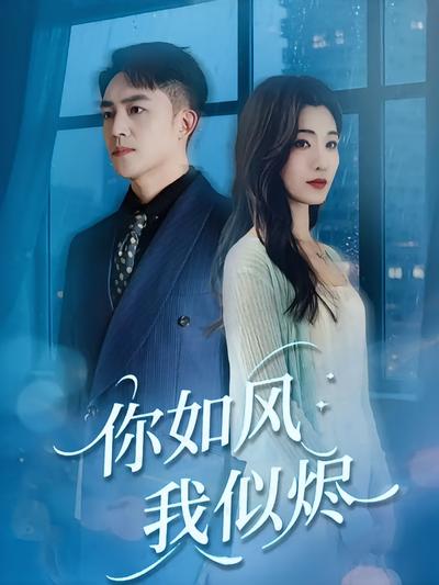 你如风我似烬封面