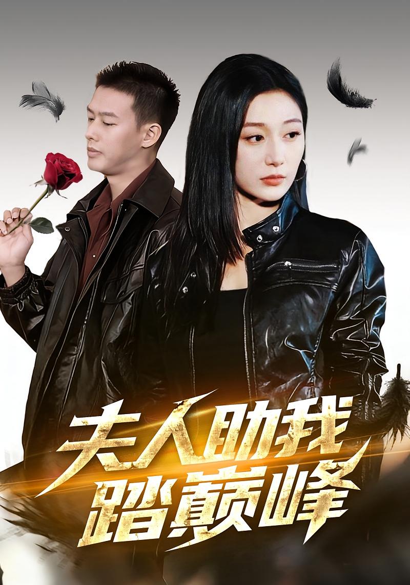 夫人助我踏巅峰