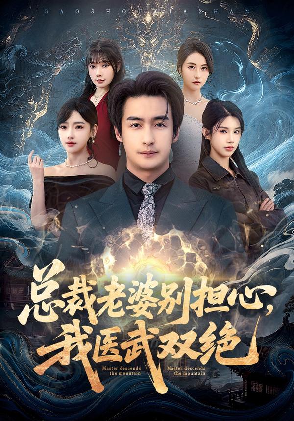 短剧总裁老婆别担心，我医武双绝海报