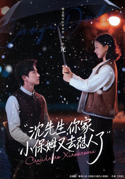 沈先生，你家小保姆又去怼人了