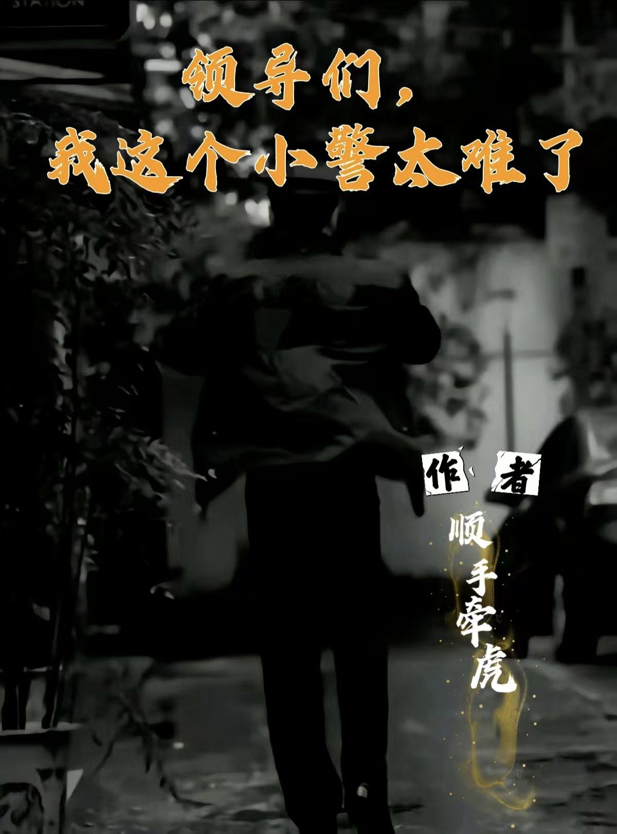 领导们，我这个小警太难了