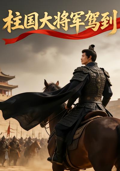 柱国大将军驾到 - 在线观看